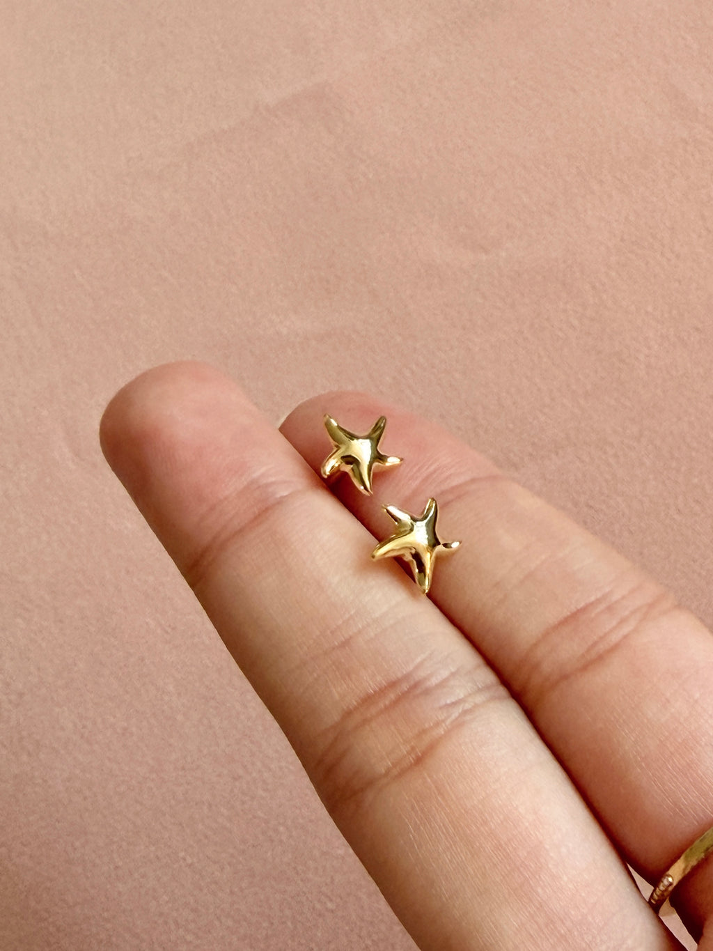 Our Oceans Starfish Stud Earrings
